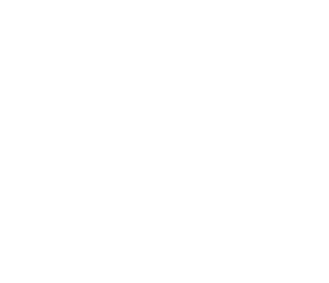 Logo-VG-opt